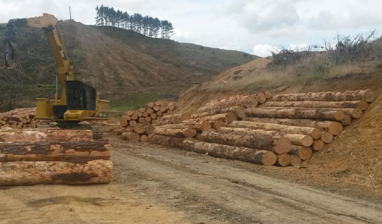 Recent incidents involving logs placed or stacked PARALLEL to load out areas have caused harm or could have caused harm in FOUR separate but unrelated events. Image