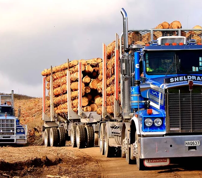 logging truck